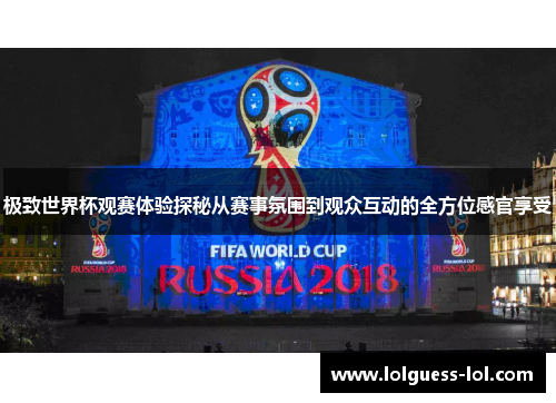 极致世界杯观赛体验探秘从赛事氛围到观众互动的全方位感官享受