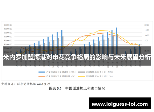 米内罗加盟海港对申花竞争格局的影响与未来展望分析